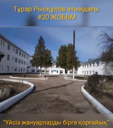 «Үйсіз жануарларды бірге қорғайық» акциясы